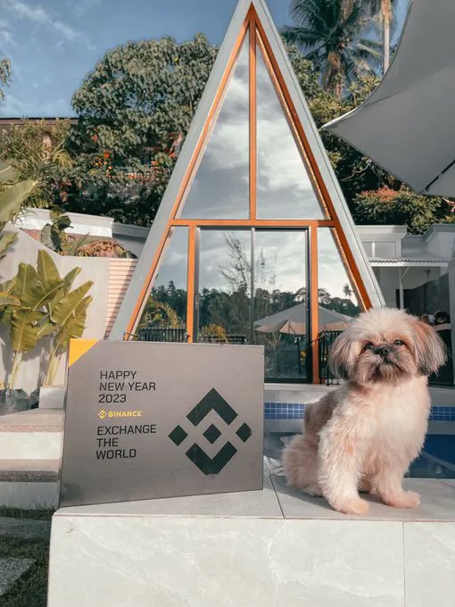 Sun-kissed 🐶

Recently, we hosted a merch giveaway and one of our winner <a href="/cryptoj4y/">cryptoj4y</a> sent us this photo when he received the #Binance merch set.

Ain't this dog the cutest?