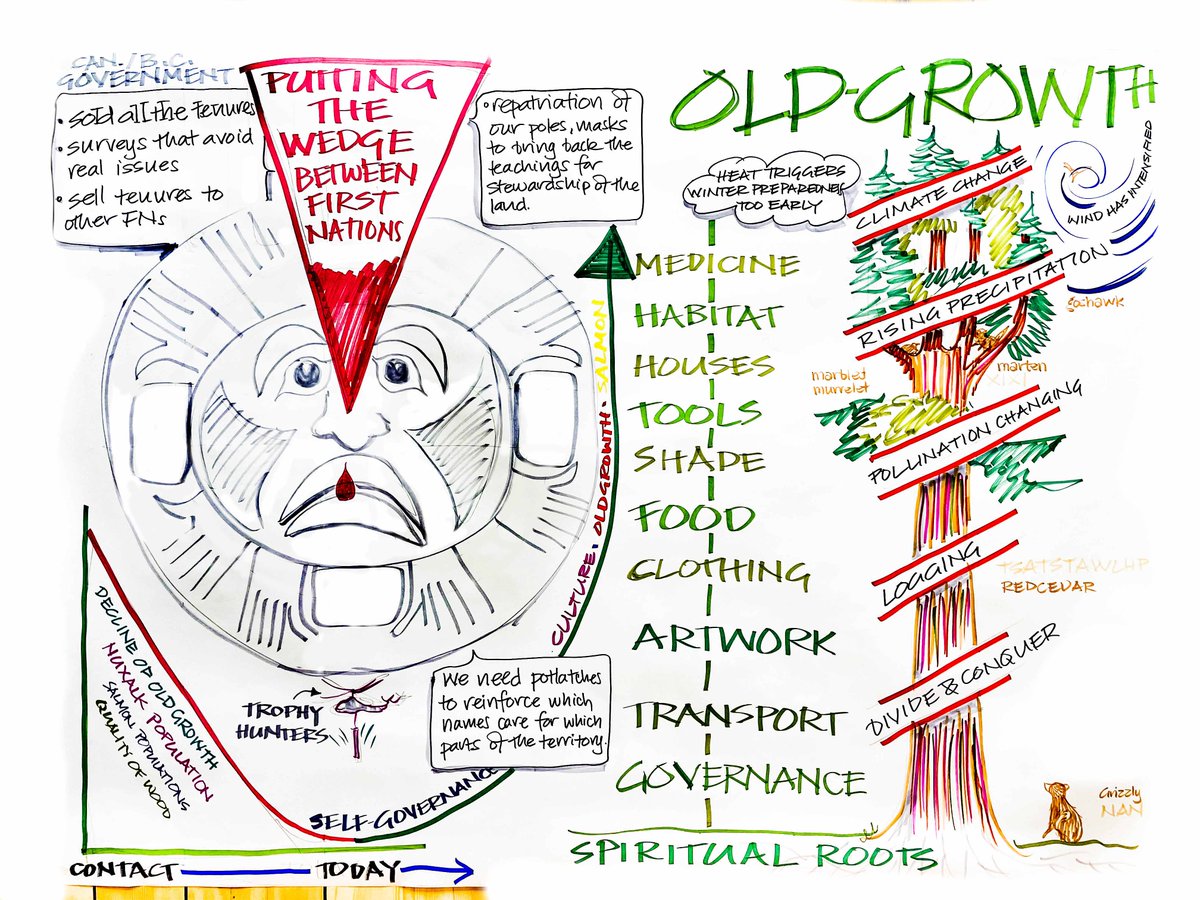 So proud of this work that brings art + science together to create an Inclusive Regional #CumulativeEffects assessment process grounded in Indigenous values and knowledge. Check out our new paper here: doi.org/10.1002/pan3.1…