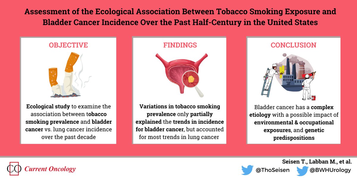 Hot off the press in @CurrentOncology!🔥 An ecological study in 🇺🇸 examining the association between trends in #tobacco smoking prevalence 🚬 and bladder versus lung #Cancer incidence ➡️Check out the full paper mdpi.com/1718-7729/30/2… @BWHUrology @DanaFarber_GU @CSPH_BWH