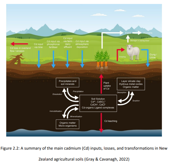 New #OpenAccess PhD from #WaikatoUni: 

From soil to groundwater: Assessing the leaching potential of cadmium across gradients of soil types and land-uses by 
<a href="/amir_mim21/">Amir</a> 

hdl.handle.net/10289/15241

#fertiliser #bioavailability #contaminants
