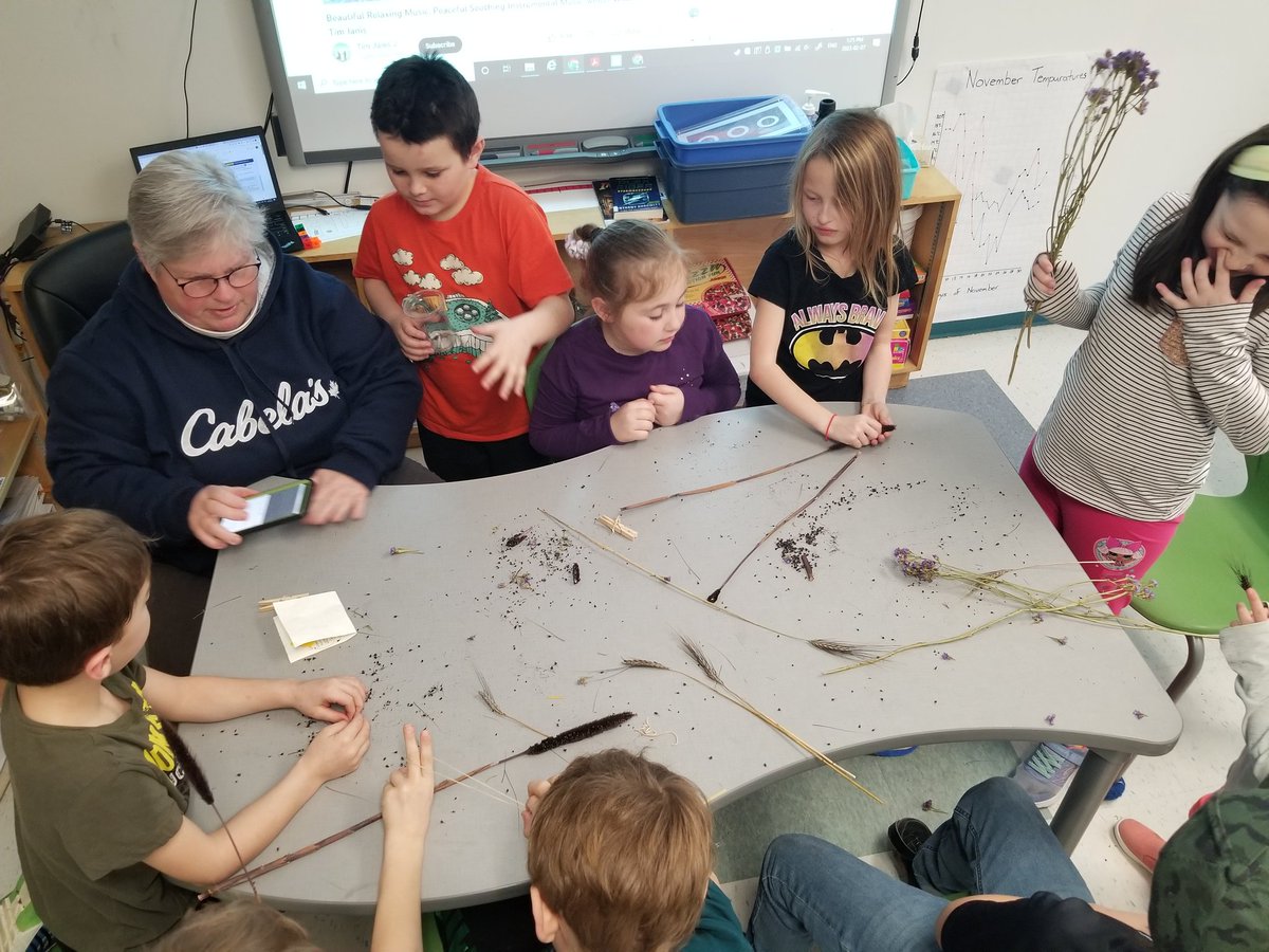 Learning about germinating seeds with Penny from Highland farm and stables! 
#RCDSB
#GetGrowin
<a href="/Whitney_Public/">Whitney_Public</a>