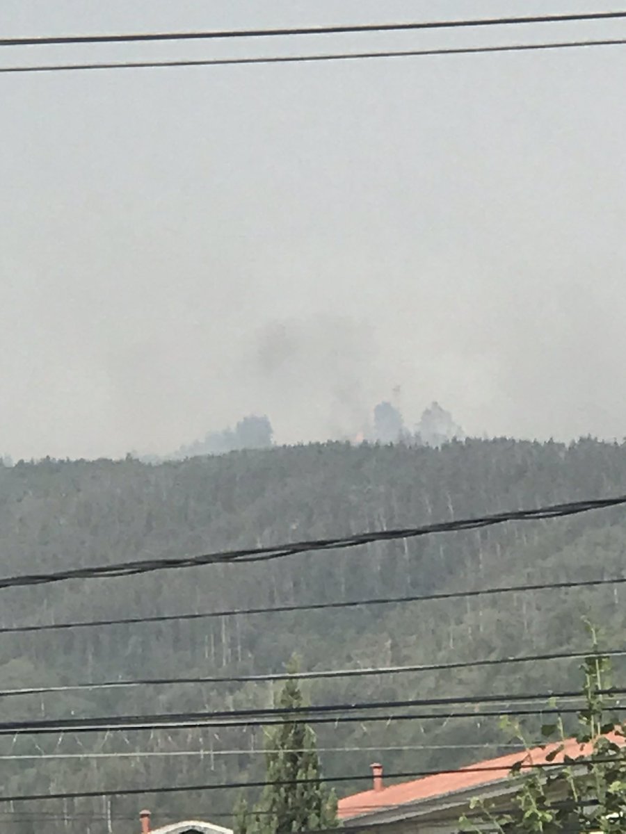 acerero1996's tweet photo. Comienzo de incendio visible desde Leonera CHIGUAYANTE
Focos en varios puntos. 
Claramente intencional https://t.co/4VvwwmpdBa