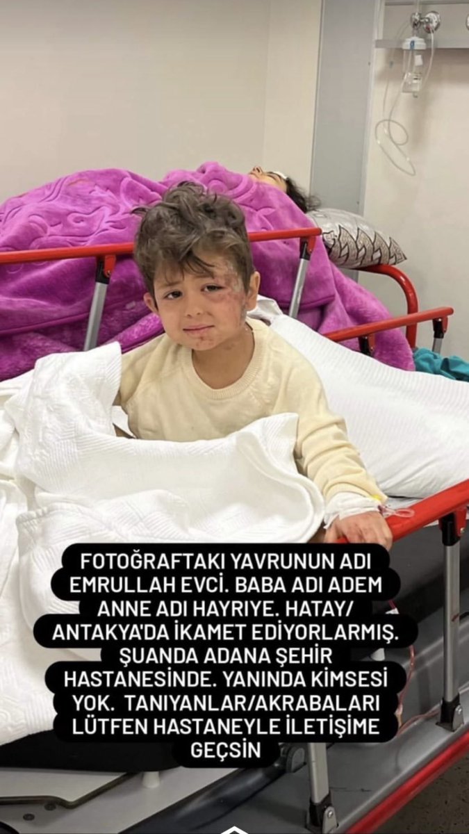 SÜSLÜ KELEBEK tweet media