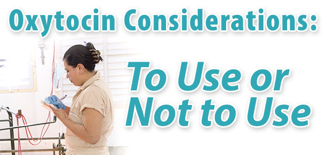 DocSarahDVM's tweet image. Meet the newest addition... - mailchi.mp/porkavenuetrai…