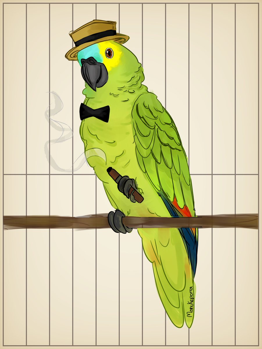 minimanuke's tweet image. ‼️ÚLTIMAS NOTÍCIAS‼️
Papagaio fumante é preso após ser pego furtando alimentos da vizinhança

#ZeCarioca #JoseCarioca #BlueFrontedAmazon #PapagaioVerdadeiro #AmazonaAestiva