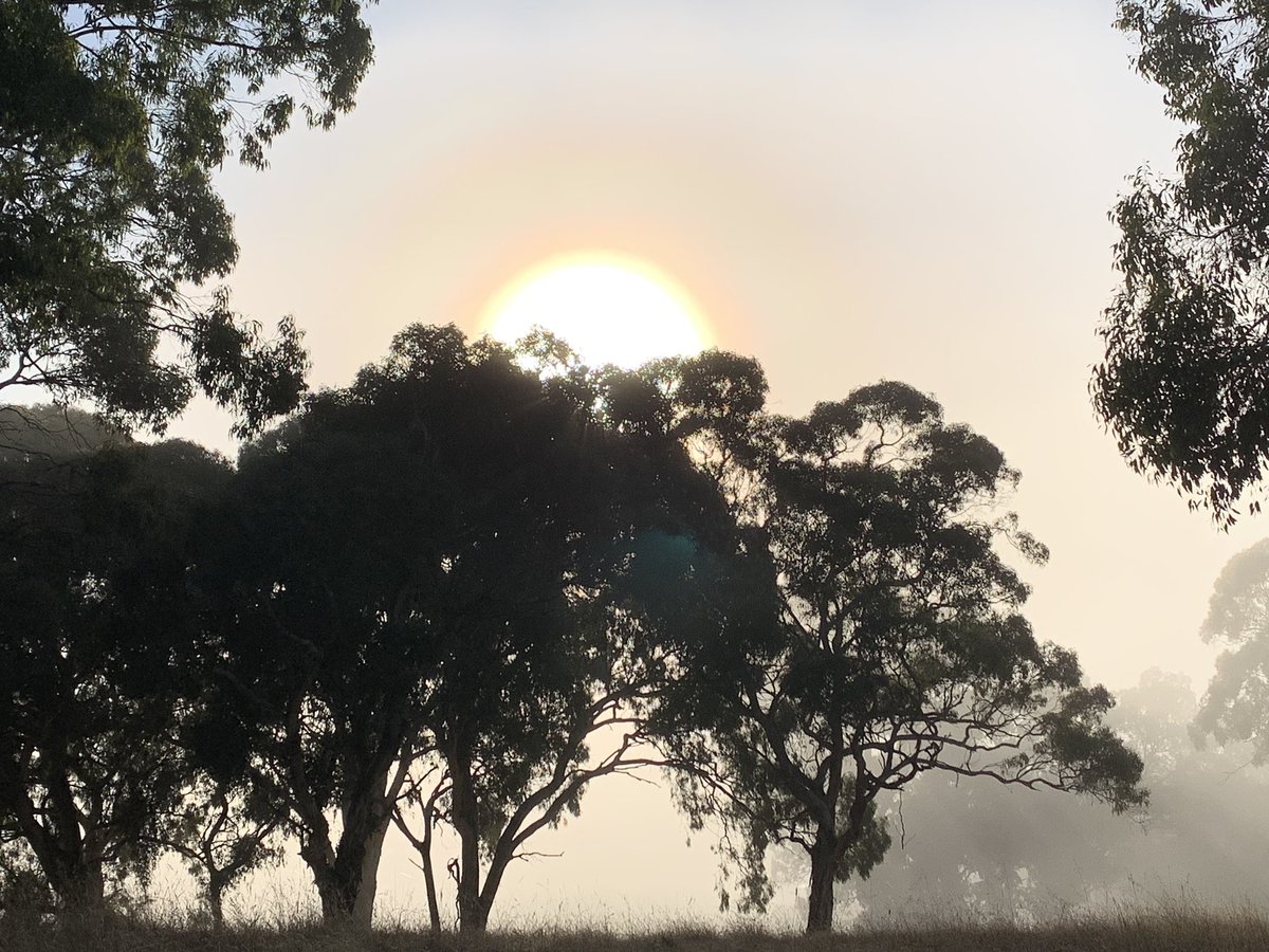 Adelaide Hills early morning