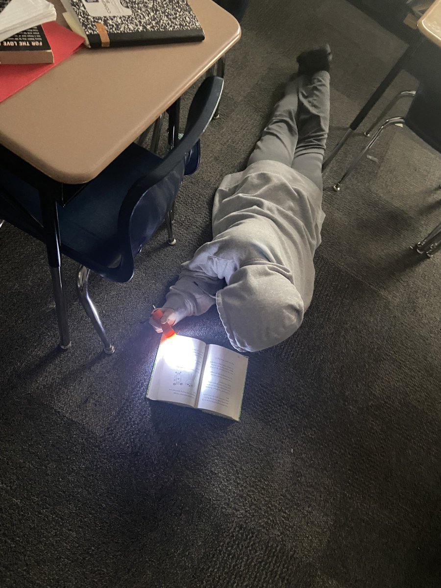 Allie Kelly tweet media