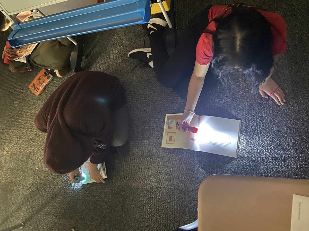 Allie Kelly tweet media