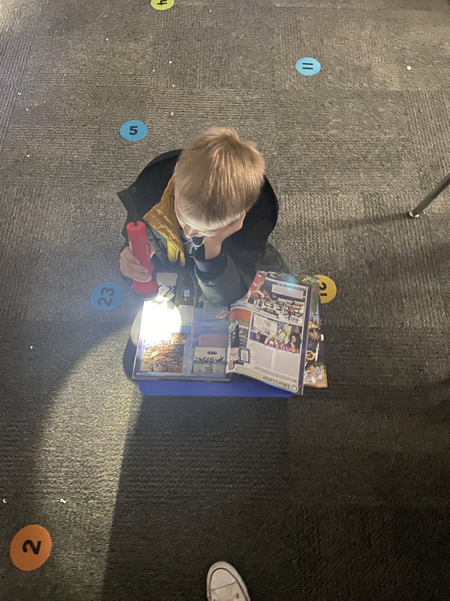 Allie Kelly tweet media