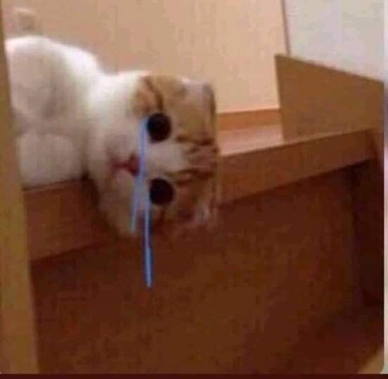 laurathesimp's tweet photo. i cant stop thinking about him https://t.co/mFCjj7vcjy