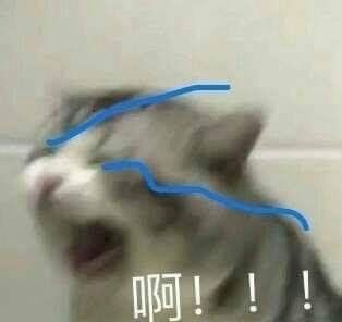 laurathesimp's tweet photo. i cant stop thinking about him https://t.co/mFCjj7vcjy