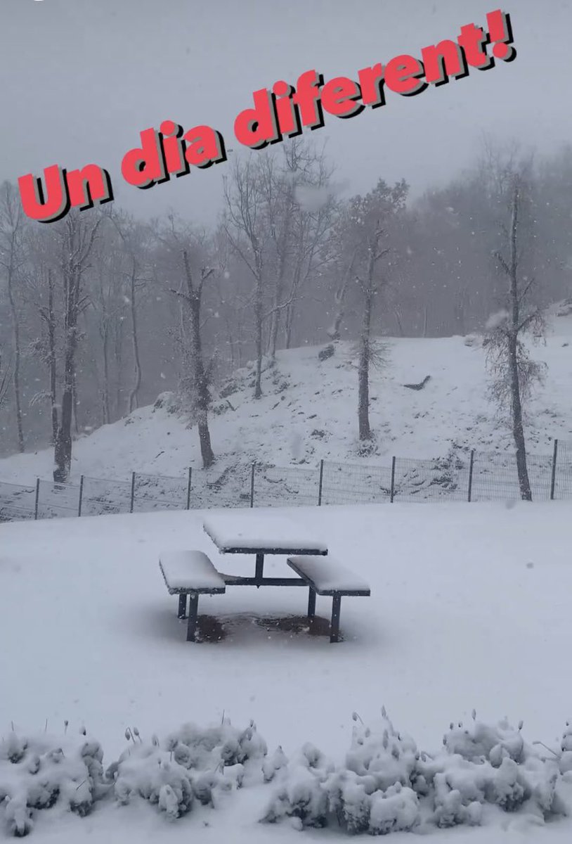 Neu i joc a Muntanyola!