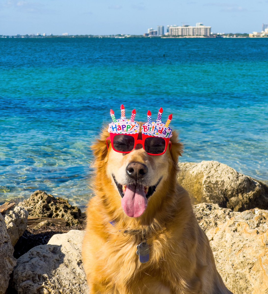 Today we celebrate 10 years of Rocket! 🚀🎉❤️