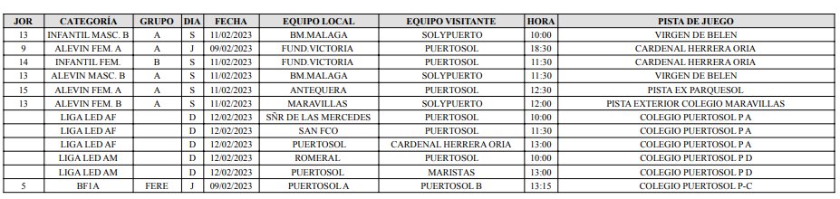 Balonmano Puertosol tweet media