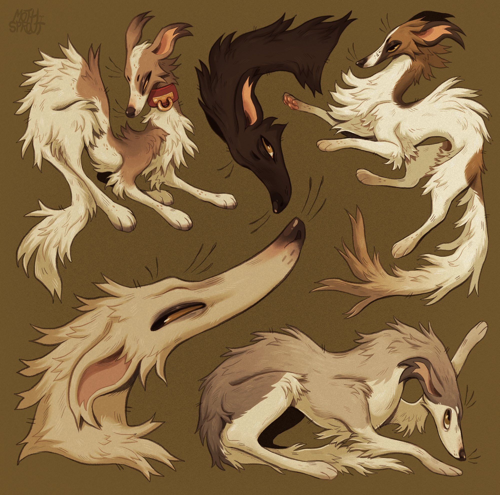 Borzoi anthro