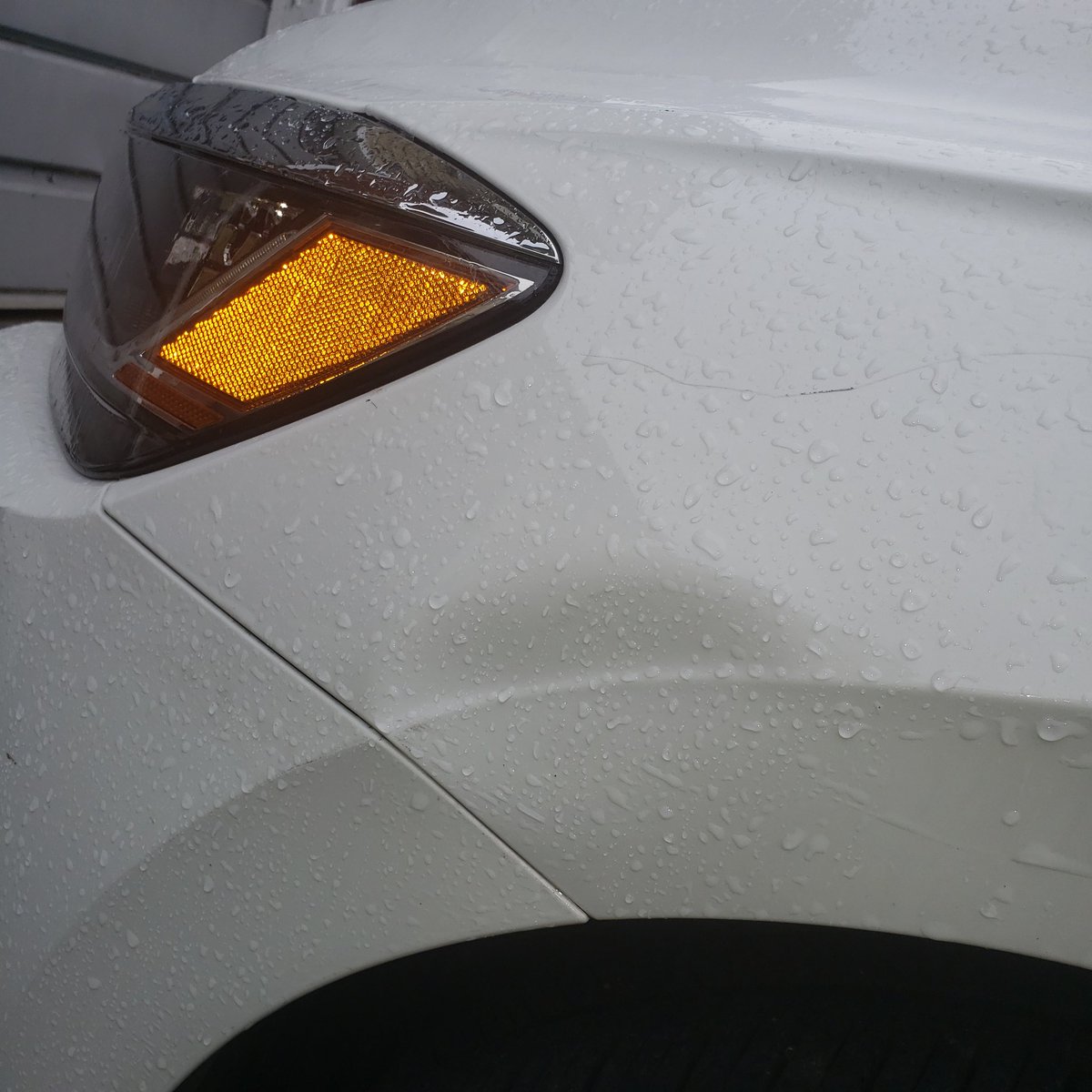 LuckeyLooney ~KRAZ~ tweet media