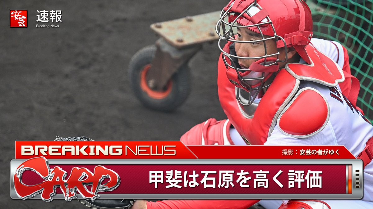carp_akinomono's tweet photo. 【カープ】石原貴規選手について達川さん「甲斐が『僕より優れている』と」 
https://t.co/4xtSaO36ZK
｜
｜
#carp #カープ https://t.co/U8TEErYlzZ