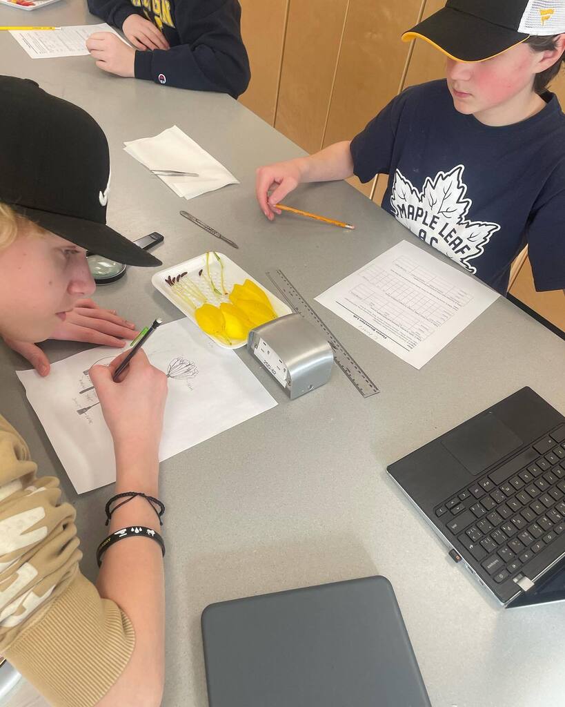 VimyAcademy's tweet photo. #vimyscience 9 completing flower dissection lab to understand how characteristics are passed on in a variety of species #vimyproud #epsb #biodiversity #kd https://t.co/f3U1SAWjsT