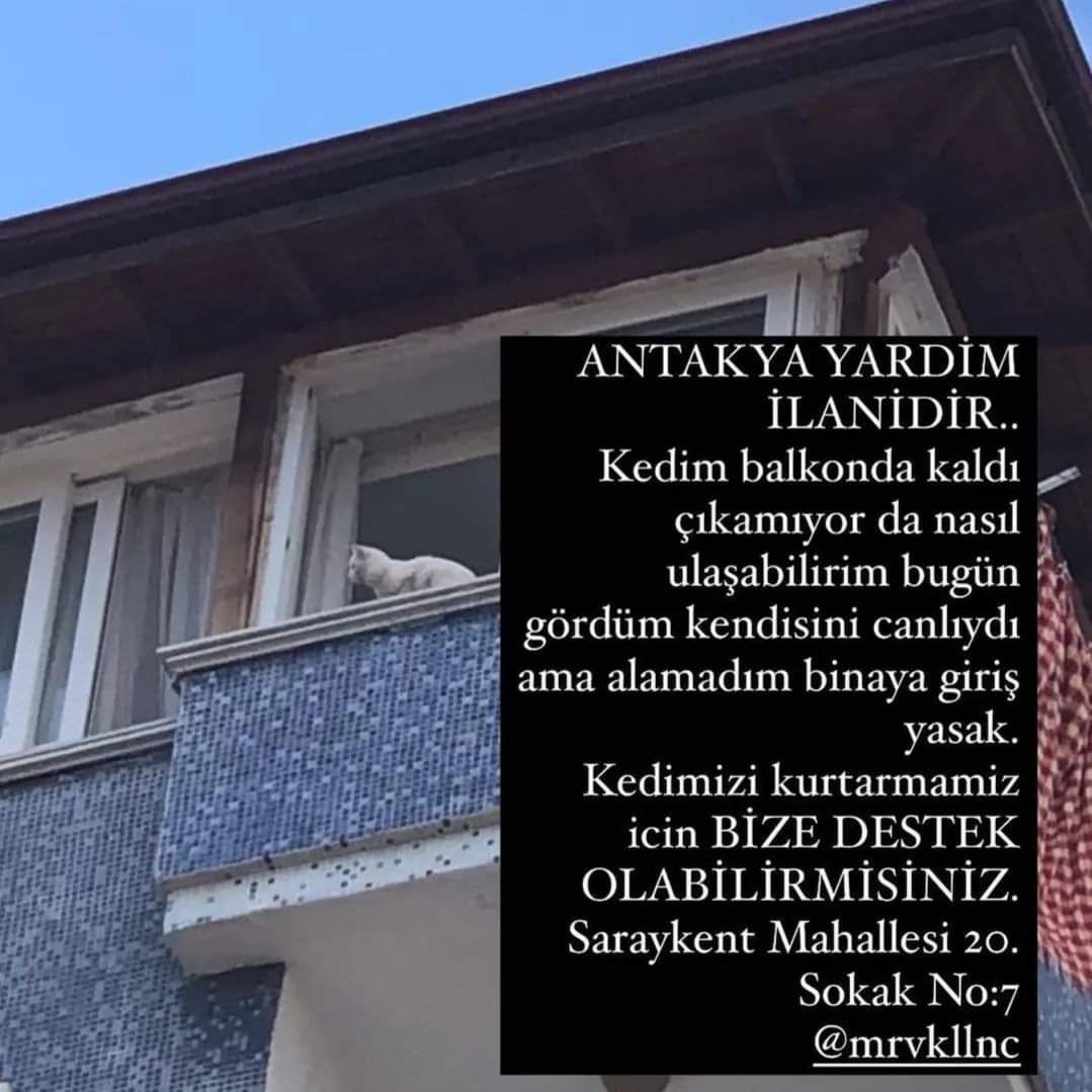 ❗BİNAYA GİRİŞ YASAK. KEDİ YAŞIYOR İNSANI ONU KURTARMAK İÇİN DESTEK İSTİYOR❗

#ANTAKYA
İLETİŞİM <a href="/mrvkllnc/">merve</a>