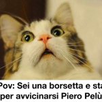 Image for the Tweet beginning: Povere borsette 🥲👜

#sanremo2023 #pieropelù #borsetta