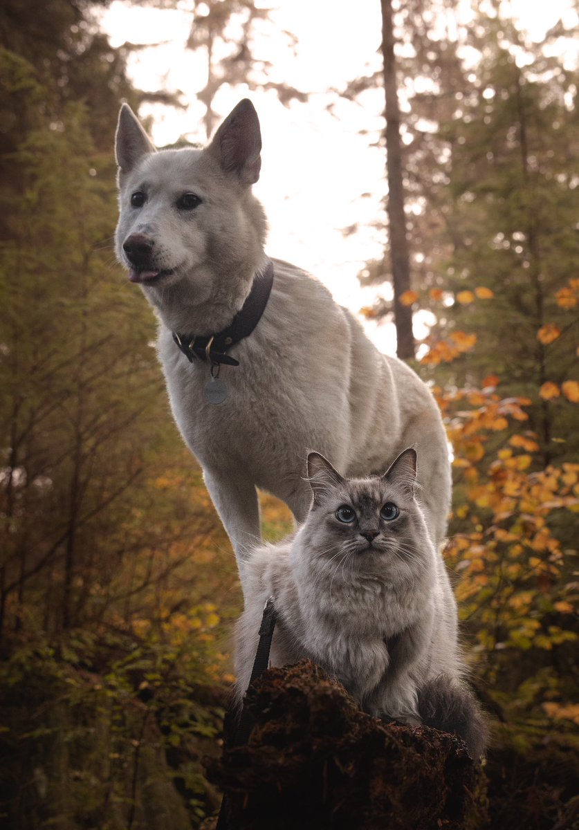 Happy #TongueOutTuesday! Hope it’s a good one 😝