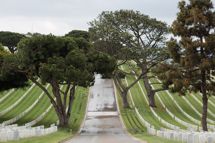 veterandoccorps's tweet photo. Fort Rosecrans National Cemetery is situated in San Diego County. Final resting place for Captain Jennifer Moreno, the hero of our newest film, Ultimate Sacrifices.
Watch this Cemetery Profile: https://t.co/K4JlMGNoAu
#cemeteryprofile #fortrosecrans #veterandocumentarycorps https://t.co/9NuEIo90jp