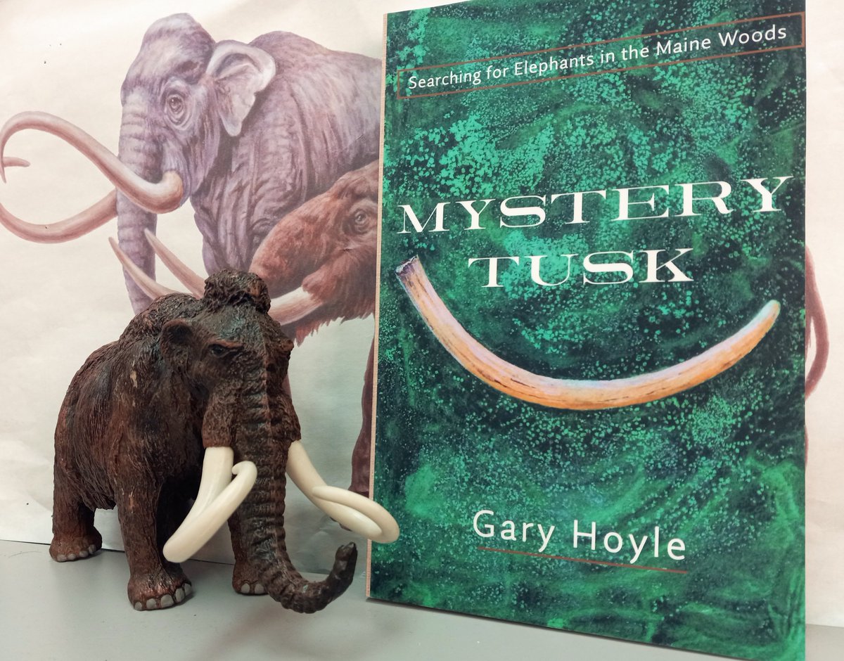 New book by artist, author, and former Maine State Museum curator Gary Hoyle!

Mystery Tusk: Searching for Elephants in the Maine Woods tells the dramatic story of the first excavation of a mammoth in Maine.

#MaineAuthor #MaineHistory #Maine  #History #Mammoth #Elephant