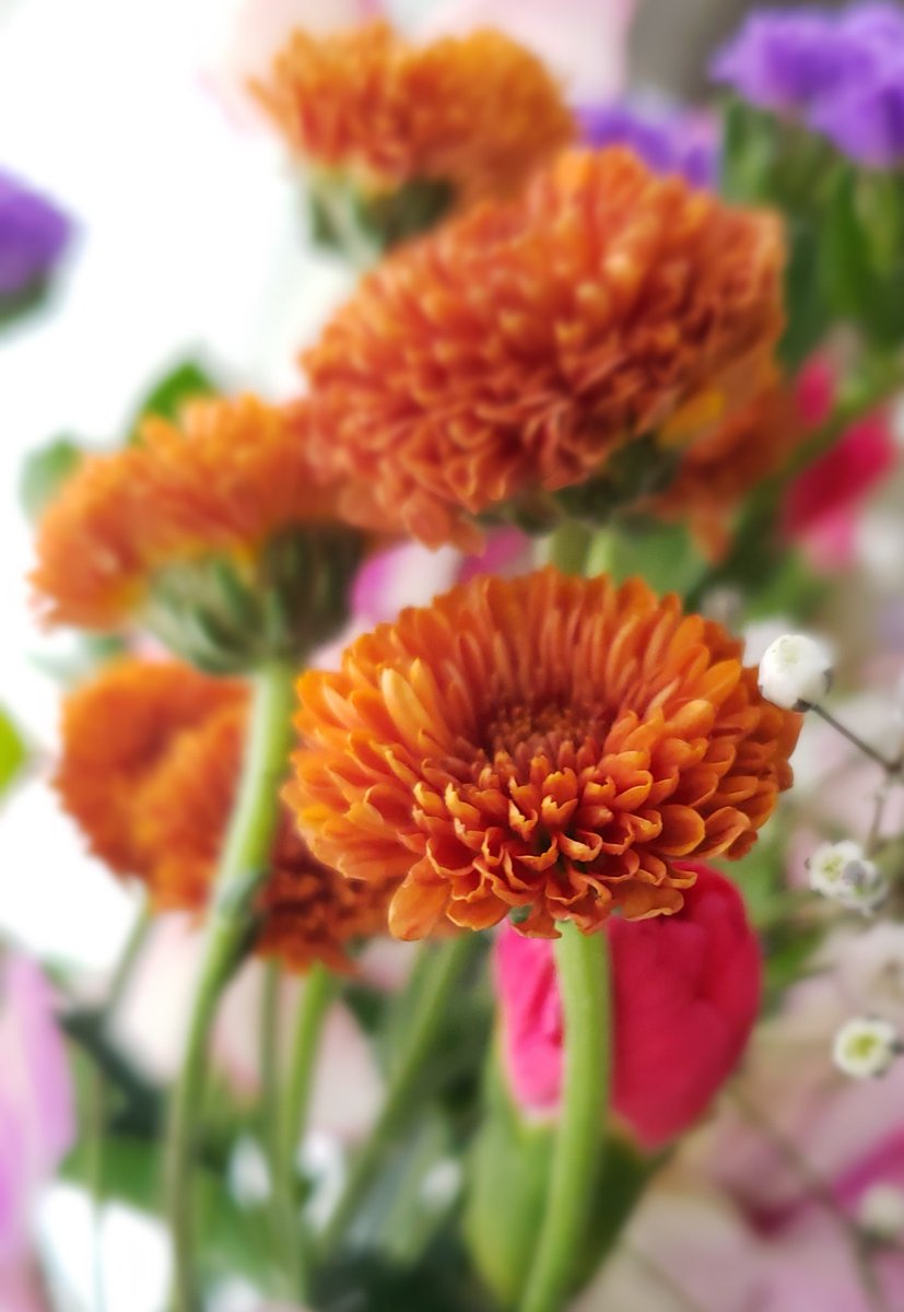 種村霞 tweet media