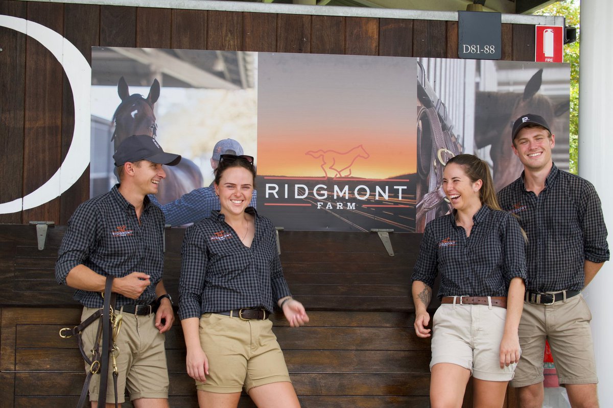 Make sure you come down and say hello to the team at D Block!

#inglissales #inglisclassic #raisedonridgmont