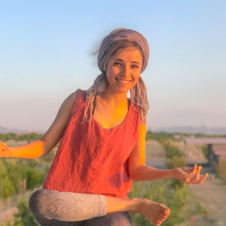 Amin Anvary tweet media