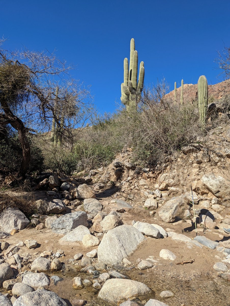 JB. 🇨🇦⚜️🐕 tweet media