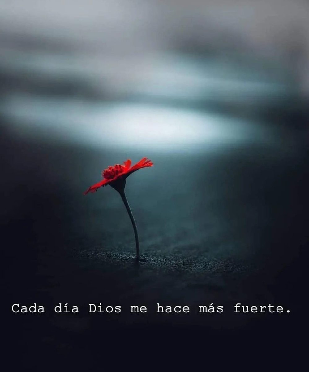 JPentecostales's tweet photo. Dios te bendiga síguenos @jpentecostales

#jovenes #vida #cristiano #amor #paz #jesus #Dios #evangelio #biblia #libro #versiculo #viral #nature #mundial #fútbol #musica #imagenes #reflexiones #latino #colombia https://t.co/QUHCKXYxz0