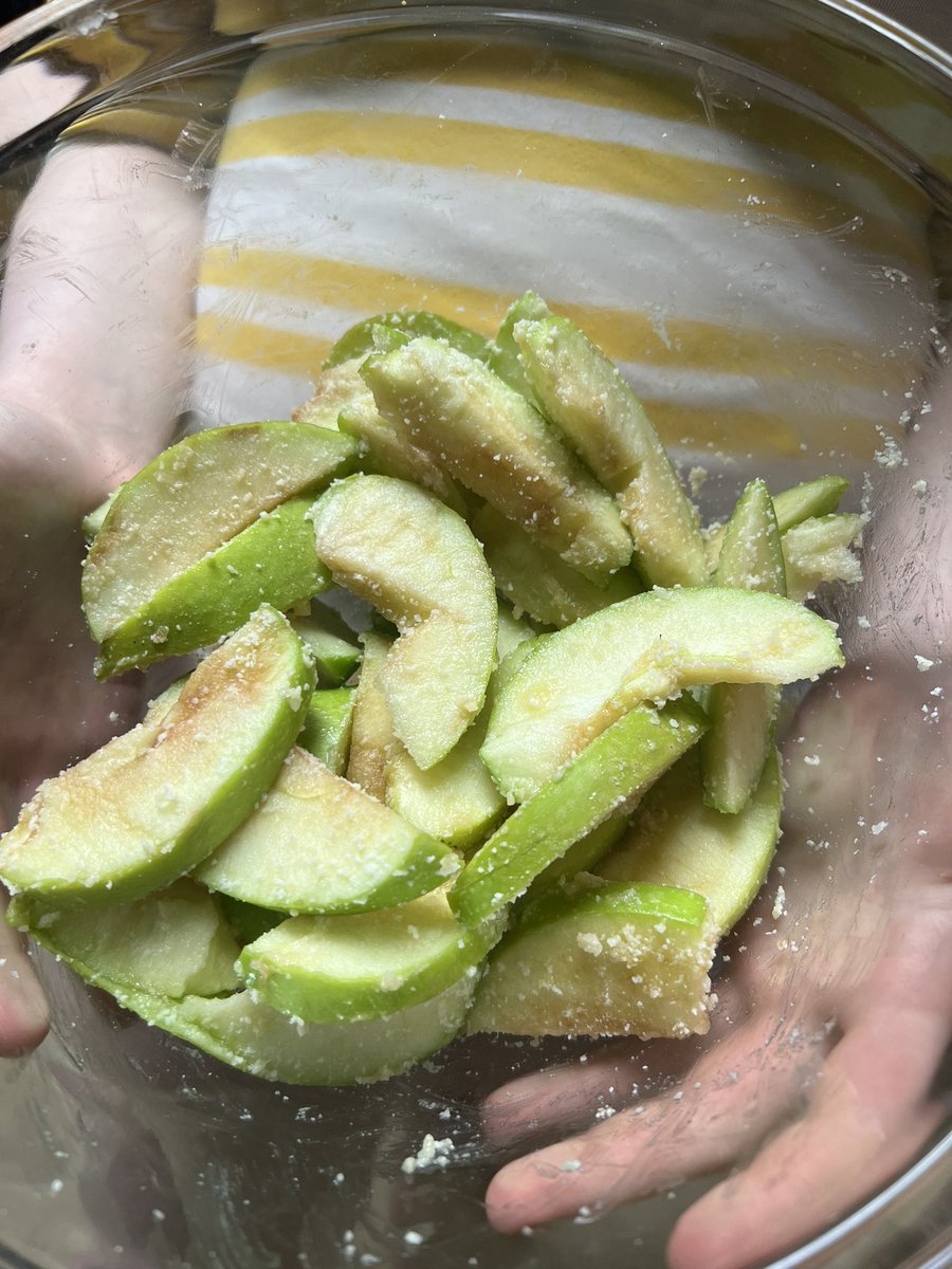 ahvryb's tweet photo. Parmesan, pepper apples for the dehydrator https://t.co/4xxnfBEWd3