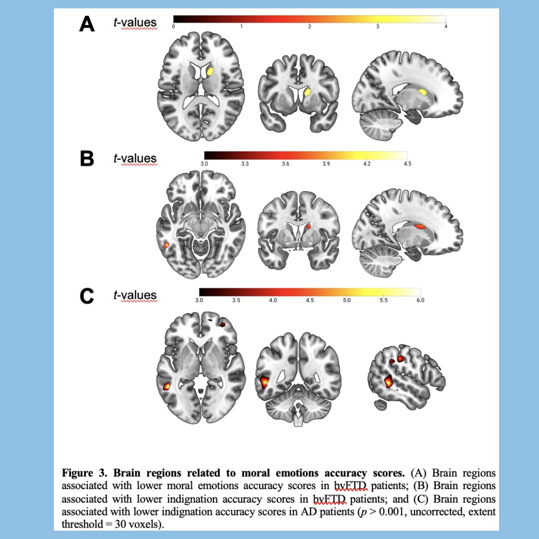 Neurociencia Social tweet media