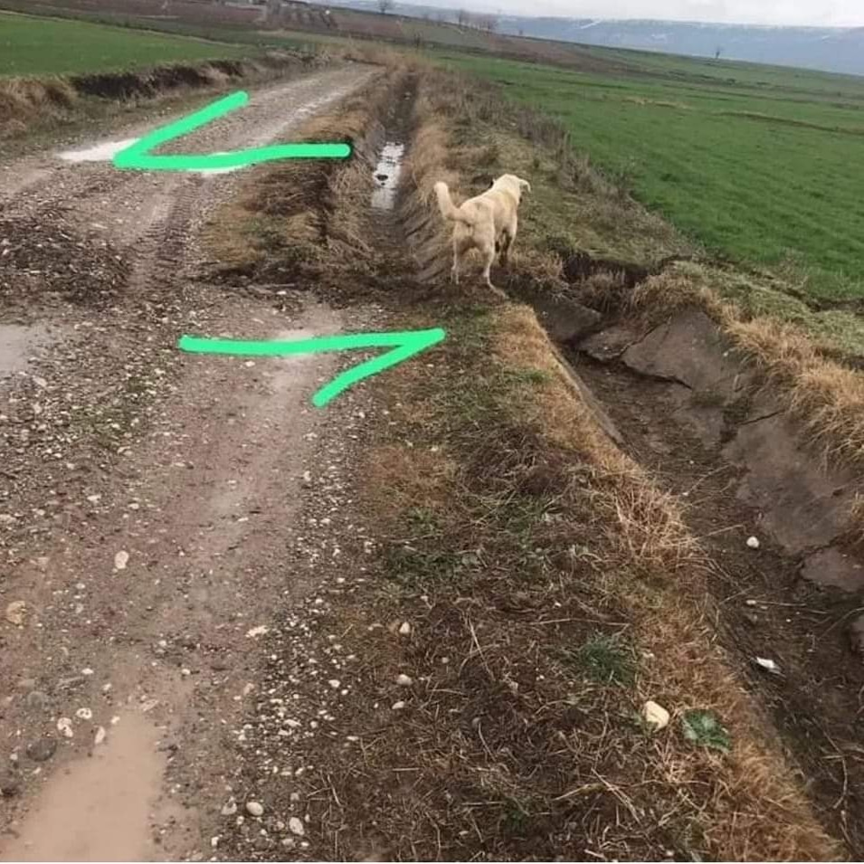 Malatya/Doğanşehir

Arap levhasının 3 metre Kuzeye kaydığının ve Doğu Anadolu fayını sıkıştırdığının fotoğrafı!
#kimseyok #zaniolo #seferberlik #sondakikadeprem #oezguerdemirtas #ohal #Turkey #TurkeyEarthquake #PrayForTurkey  #HelpTurkey #hatayyardimbekliyor #Marasyardimbekliyor