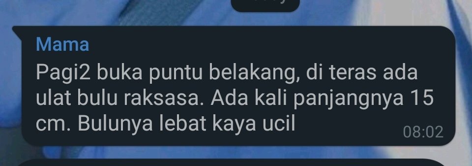 bintik_'s tweet photo. https://t.co/VqHX9KoOKR