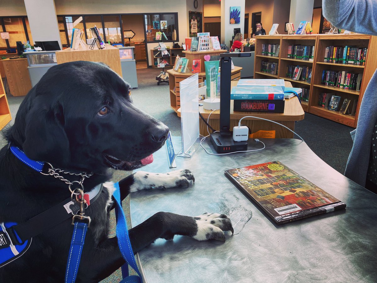 Checked out a book today and of course got some treats. 🐾💙📚<a href="/AAdamsEML/">Dr. April Adams</a> <a href="/Blue_Jay_Nation/">BlueJayNation</a> <a href="/LHSJAYS/">Liberty High School</a> <a href="/CounselorsLHS/">LHS Counselors</a> @360LMC