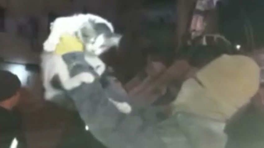 solcugazete's tweet photo. Osmaniye'de depremde çöken binada çalışma yapan kurtarma ekipleri, 42 saat sonra bir kediyi sağ olarak çıkardı https://t.co/0XxmaGTcqW