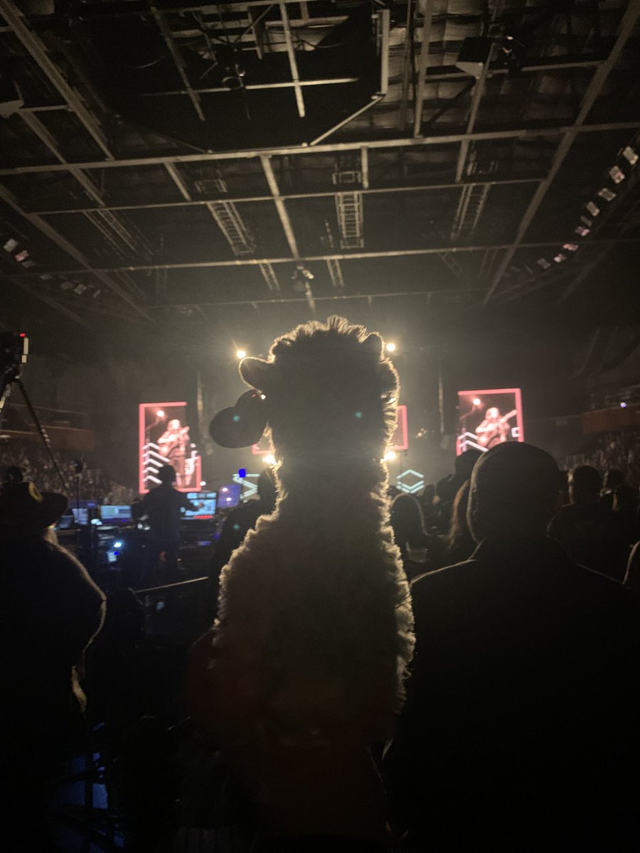 beyondrightnoww's tweet photo. Denver trip was ❤️‍🔥 https://t.co/pqa91EnNwo