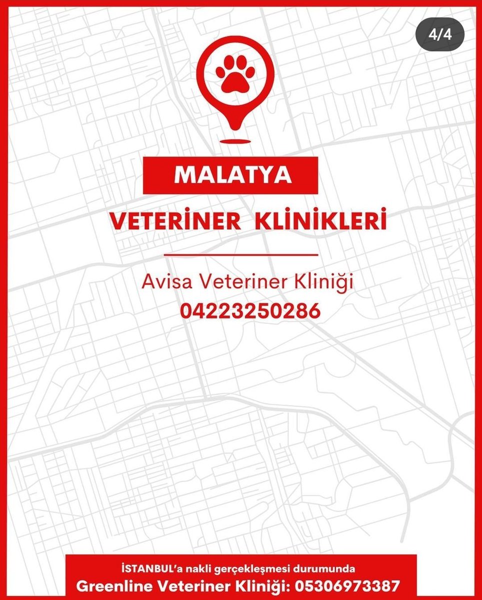 Yayalım, önemli!! 
#yardım #depremturkiye #depremadana #depremmalatya #depremdiyarbakır