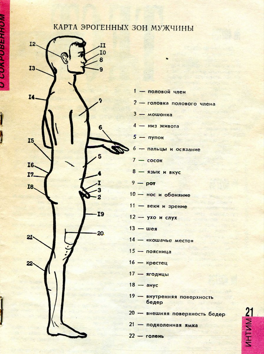 "A map of erogenous zones for a man and a woman," diagrams from the ...