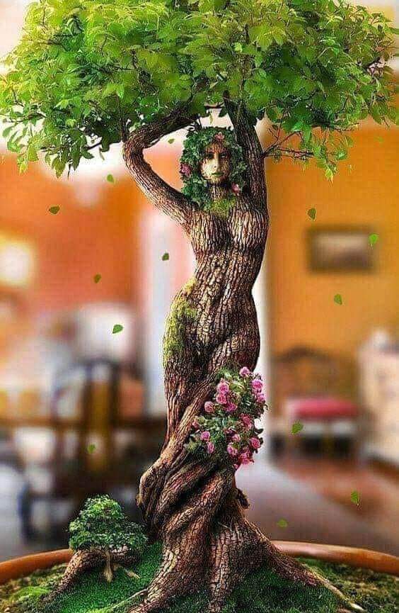 MiguelAAdrian's tweet photo. https://t.co/k4CG2nMy9H