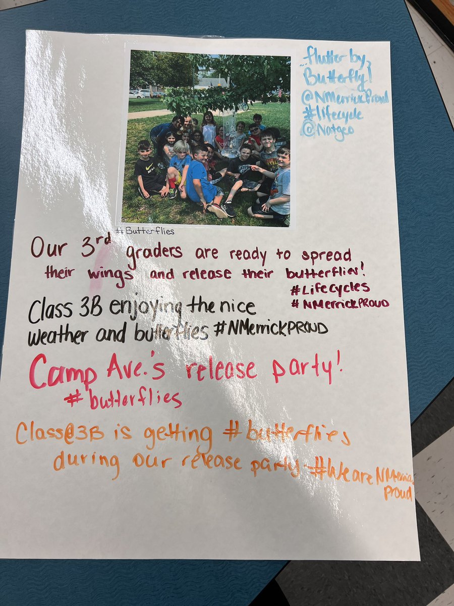 Hillary Bromberg tweet media