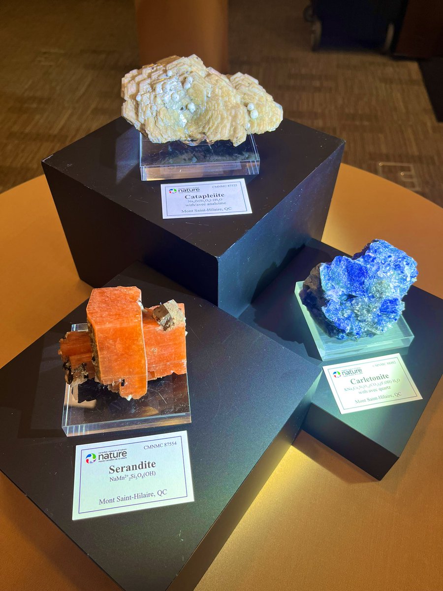 The Official PDAC tweet media