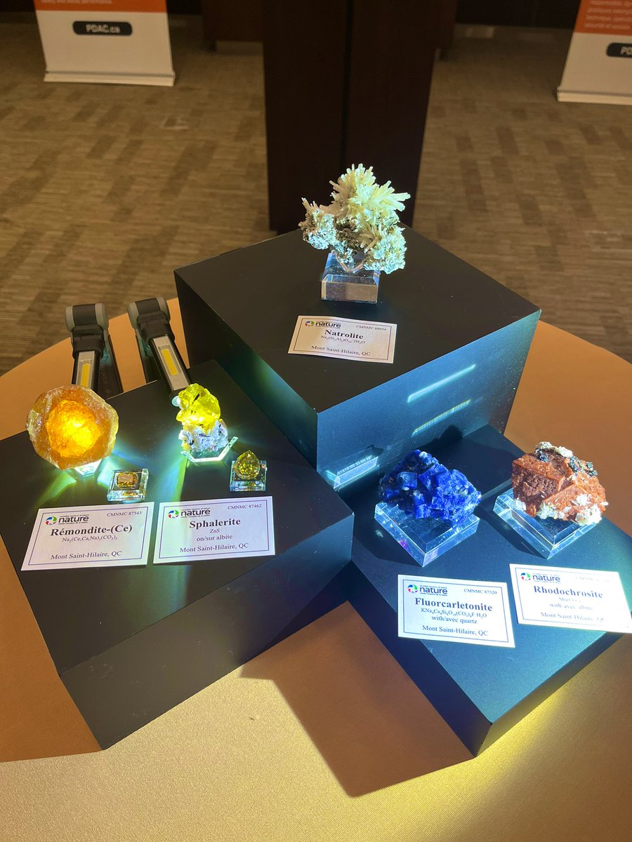 The Official PDAC tweet media