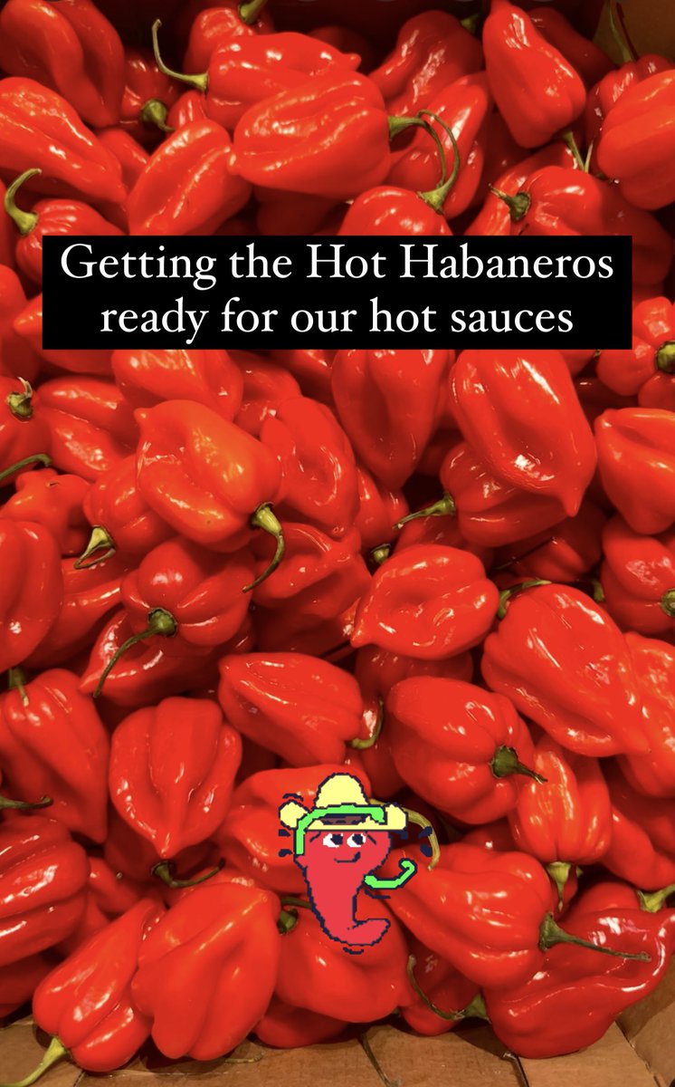 From our Hot Chilli Oil, Hot Caesar dressing to our HOT🥵Sauce. These beautiful happy habanero peppers, are at the centre.                  
850togo.com 📲 416-503-0850
💻 850degrees.ca
#pizza #pizzeria #pizzatime #foodoftheday #foodporn #instafood