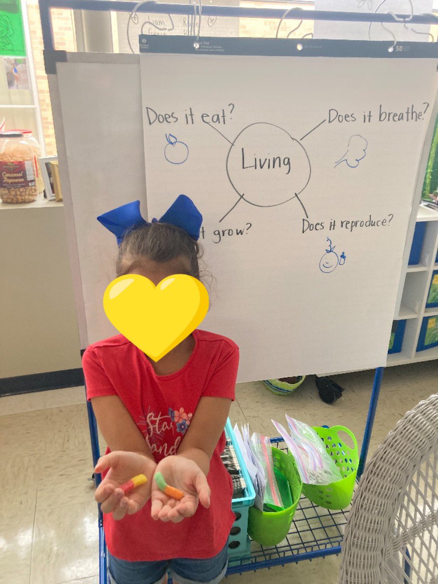 MrsAmaroWE's tweet photo. We cemented our understanding of living and nonliving things today comparing earthworms to gummy worms! After observing them we released the worms into the @WoodridgeElem garden so that they could continue to get what they need to live! https://t.co/eQOpi9lWsm