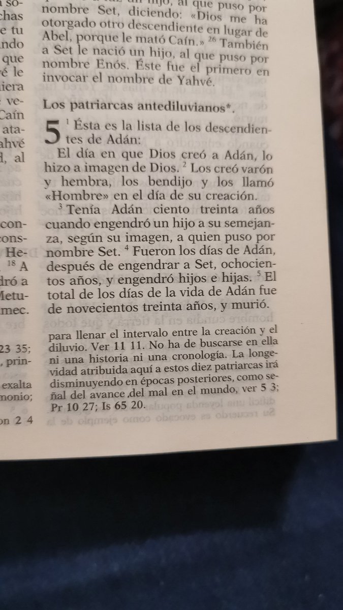 Llothluin's tweet photo. @TiberioGraco6 Muchos hijos e hijas https://t.co/URKQKYc1fI