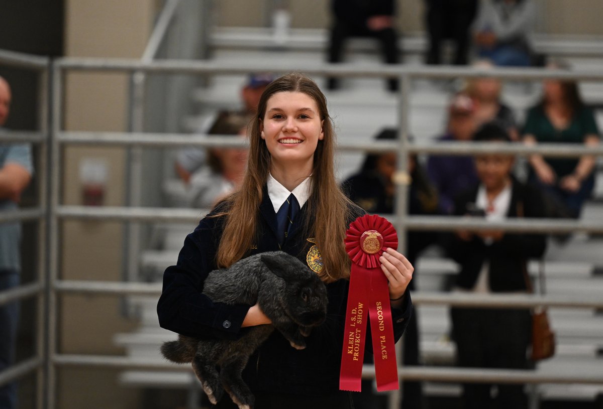 KleinISD's tweet photo. In the Junior Buck Breeding Rabbit category - Cora Winston -  @KleinHigh takes home Grand Champion and Kayla Harris - @KleinCain takes home Reserve! Congratulations! 👏🐇 @kisd_cte #wearekleincte https://t.co/mlBovfwhFt