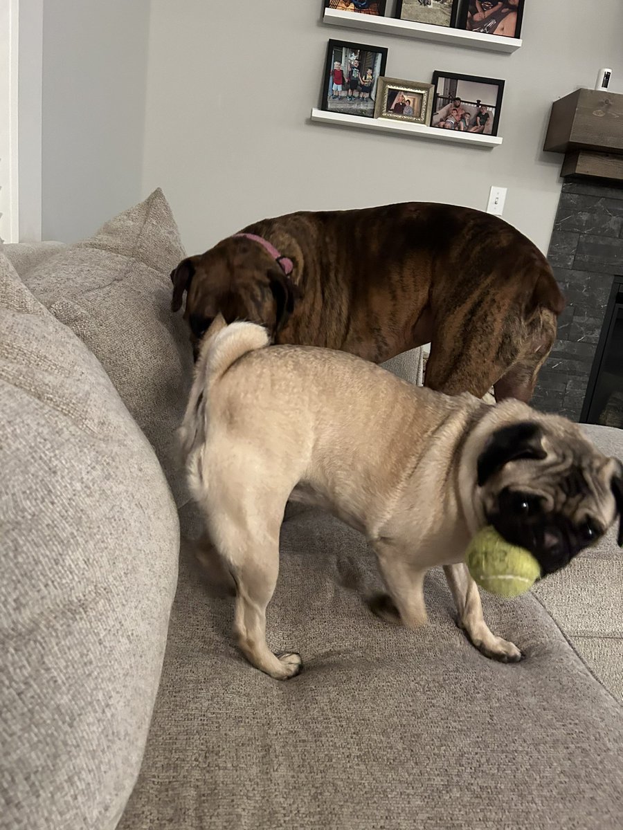 kirst 🌻 tweet media